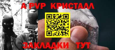 крисы Пенза