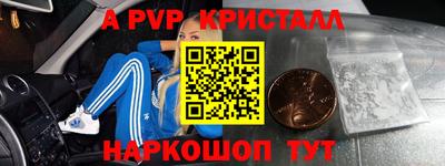 крисы Пенза