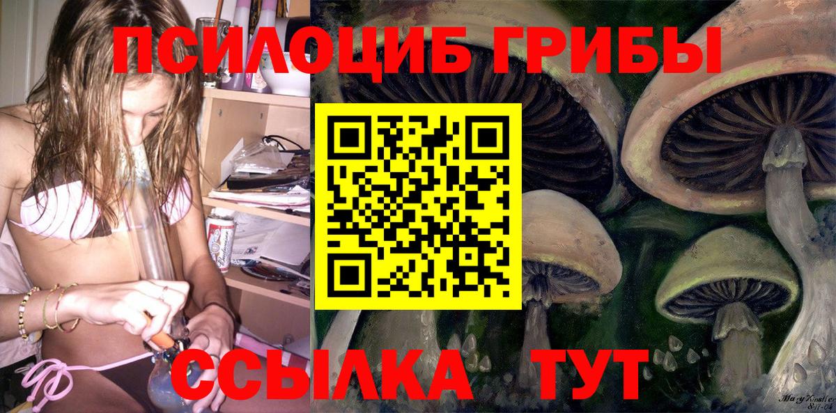 Галлюциногенные грибы мицелий  Галлюциногенные грибы мухоморы  наркотики  Новосибирск  Вход с VPN 