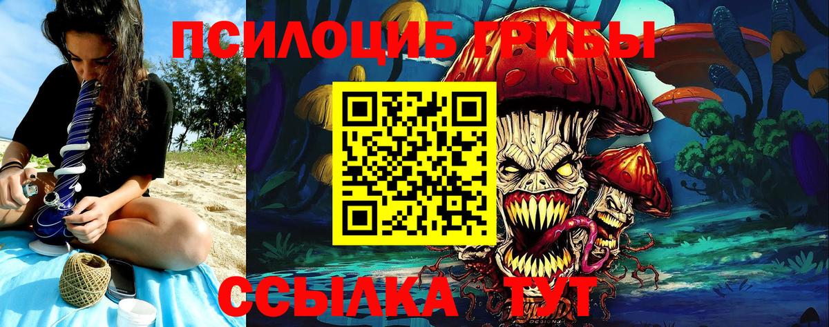 Галлюциногенные грибы Cubensis Новосибирск