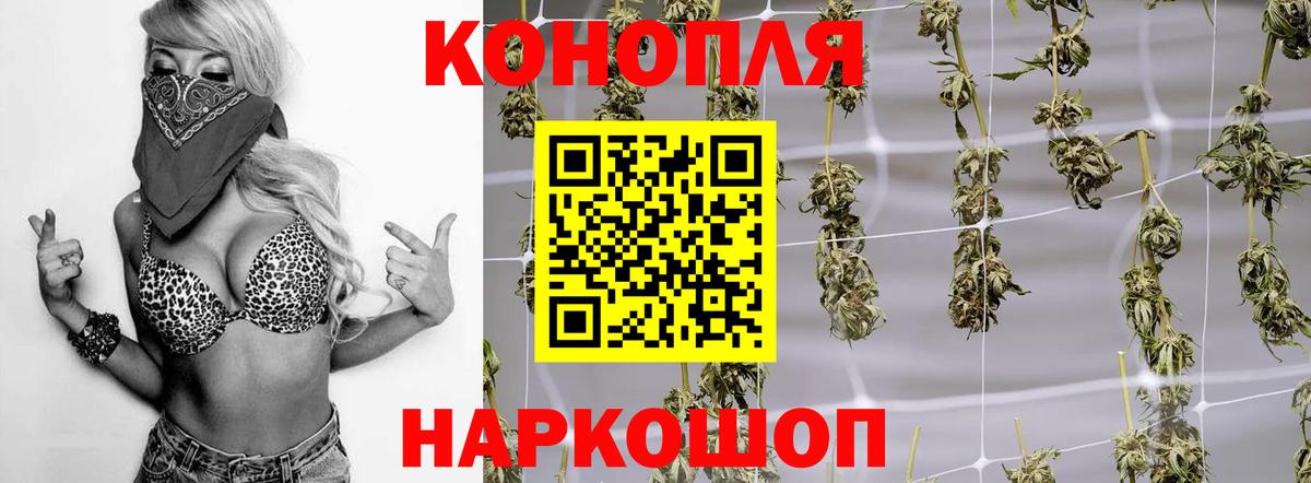 Альфа ПВП Новосибирск